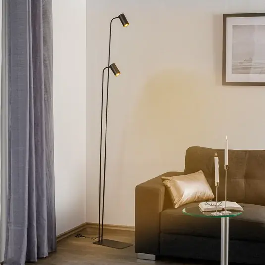 Cenově Výhodný Stojací lampa Mono II, dvouramenná, černá