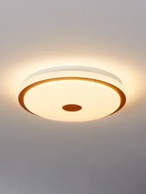 Levný LED stropní svítidlo Lanciano 1 s dálkovým ovládáním Ø38cm