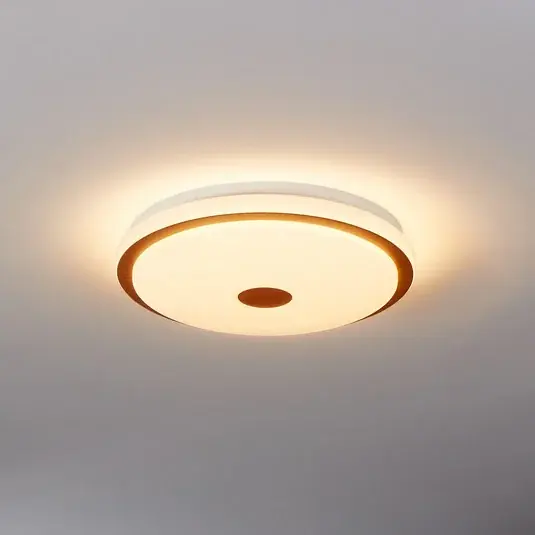 Levný LED stropní svítidlo Lanciano 1 s dálkovým ovládáním Ø38cm