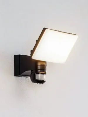 Venkovní nástěnný reflektor Prios LED Avayah, detektor pohybu, IP44 Zlevněný