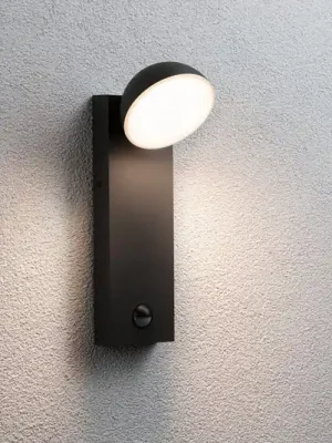 Sleva Venkovní nástěnné svítidlo Paulmann Puka LED se senzorem