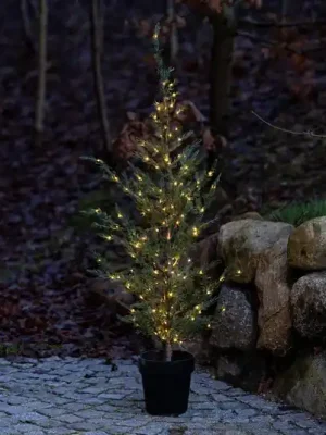 LED stromek Milas Cedr v květináči, pro venkovní použití Oblíbený