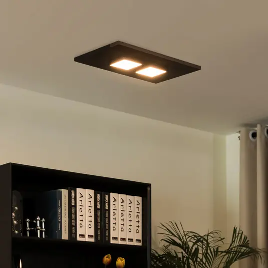 Aktuální Stropní svítidlo Lucande Esteria, dvoudílné
