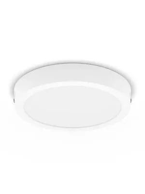 Philips Slim Surface LED 4 000K kulaté 21cm bílá Ihned K Objednání