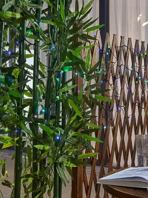 Prios Smart LED světelný řetěz Liezel, 300 cm, RGB, Tuya Odeslání Ihned