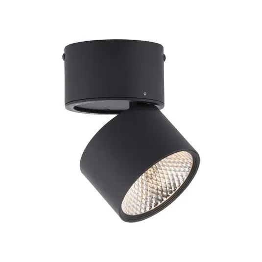 Cenově Výhodný LED stropní svítidlo PURE NOLA, jednoplamenné, černé