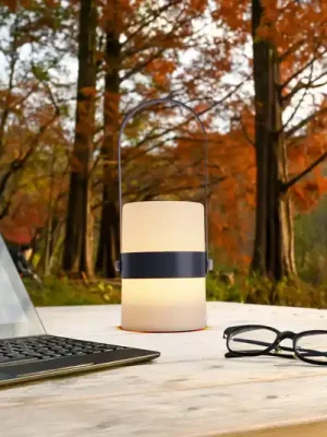 LED dekorační světlo Neo vnitřní, na baterii, šedá Sleva