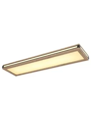 Aktuální LED stropní svítidlo Karla obdélníkové, délka 80 cm