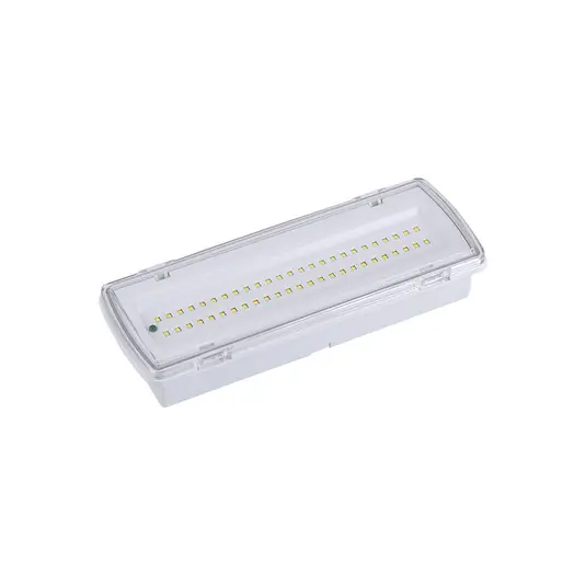 LED osvětlení únikových cest Wasen pro povrchovou montáž, IP65 4000K Cenová Bomba