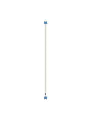 Philips G13 T8 LED trubicová žárovka 8 W 60,3 cm 6 500 K Levný