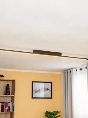 Kup Teď Stropní svítidlo Quitani Niara LED, černě eloxované