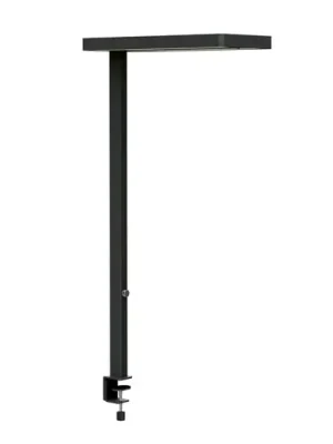 LED stolní lampa MAULjuvis, černá 120 cm stmívatelná základna s objímkou Nejprodávanější