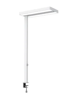 LED stolní lampa MAULjuvis, bílá, 120 cm, stmívatelná, podstavec s objímkou Horká Nabídka