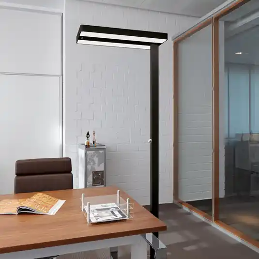 LED stojací lampa MAULjuvis, černá, stmívatelné 196 cm Finální Výprodej