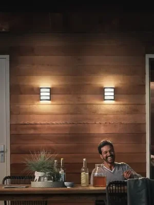 Nejlepší Cena Venkovní nástěnné svítidlo Philips LED Python UE, antracitová barva