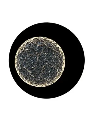 Nástěnné svítidlo Plenilunio LED, hnědočerná/stříbrná, 60 cm Aktuální