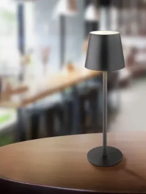 Omezená Nabídka LED stolní lampa na akumulátor Vannie, černá, výška 36 cm, IP44