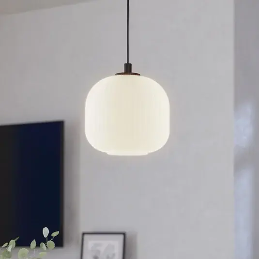 Vysoce Kvalitní Závěsné svítidlo Mantunalle, Ø 20 cm, černá/bílá, sklo