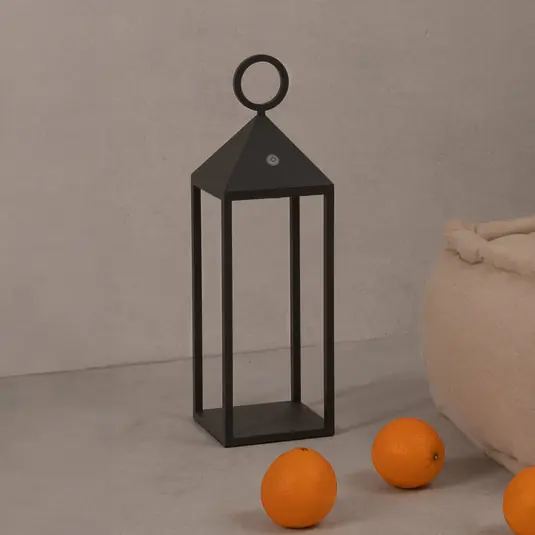 Nabíjecí stolní lampa Argus LED, tmavě šedá, hliník/PMMA, výška 47 cm Nejlepší Cena
