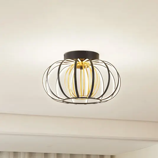 Sezónní Sleva Stropní svítidlo Lucande LED Birger, Ø 39 cm, černá/zlatá