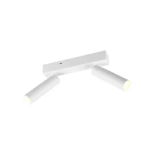 LED stropní spot Ambala, 2 světla, bílý, kov, CCT, stmívatelný Cenově Výhodný