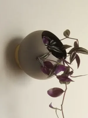 AYTM Nástěnný květináč Globe, Ø 17 cm, šedohnědý, hliník Cenová Bomba