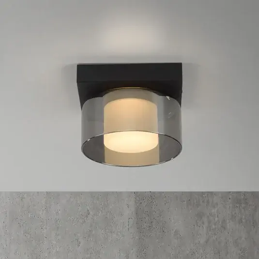 Vysoce Kvalitní Paul Neuhaus LED stropní svítidlo Rika, Ø 15 cm, sklo, stmívatelné