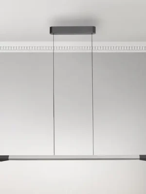Sleva Paul Neuhaus LED závěsné svítidlo Hoop, barva hliníku, 128 cm, stmívatelné