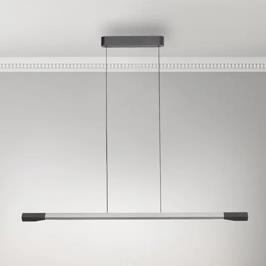 Sleva Paul Neuhaus LED závěsné svítidlo Hoop, barva hliníku, 128 cm, stmívatelné