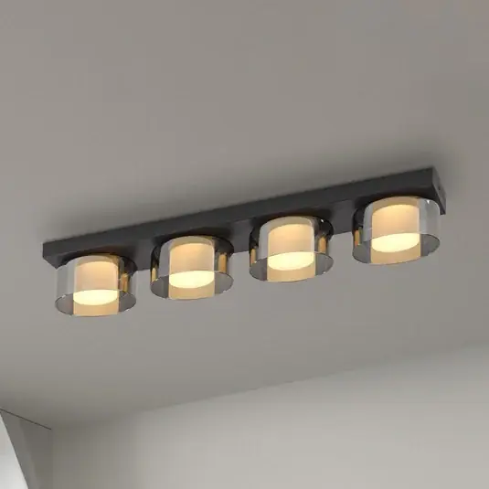 Vysoce Kvalitní Paul Neuhaus LED stropní svítidlo Rika, 70 cm, sklo, stmívatelné