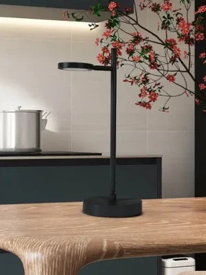 LED dobíjecí stolní lampa Lupa, černá Výška 45 cm Kov Touchdim Výhodná Nabídka