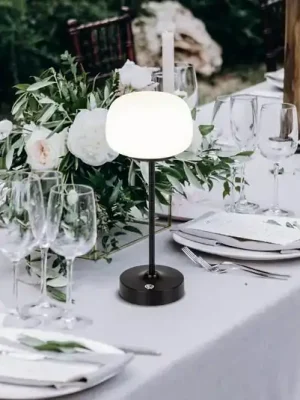 Aktuální LED dobíjecí stolní lampa Pina černá 27,8 cm kov/sklo Touch