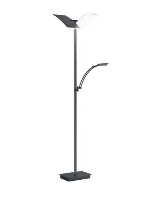 LED stojací lampa Andy, 3 světla, antracit, CCT, stmívač Nízká Cena