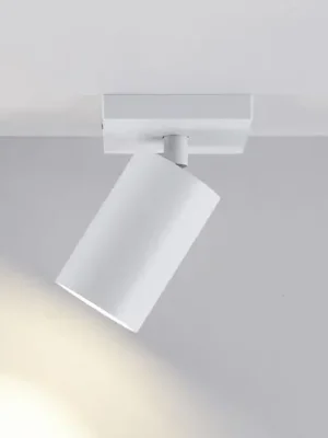 Stropní bodové osvětlení CAN TILT, bílé, 11 x 9 cm, 1 světlo, kovové GU10 Víkendová Akce