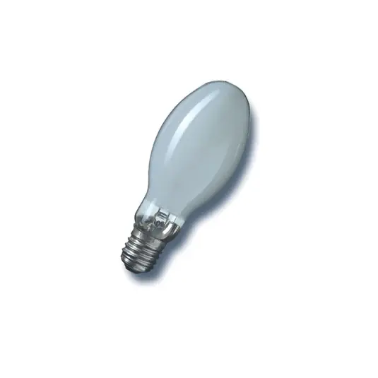 Ihned K Objednání RADIUM Halogenová výbojka E40 1000W HRI-E NSC/F, opálová